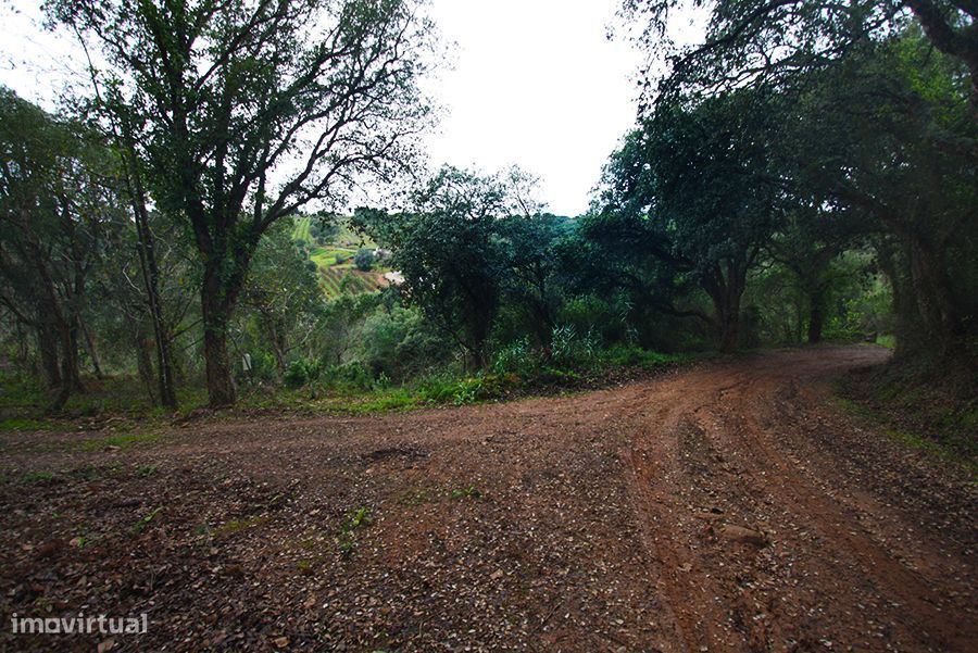 Grande propriedade, com floresta e 2 ruínas, Fraldeu, Óbidos