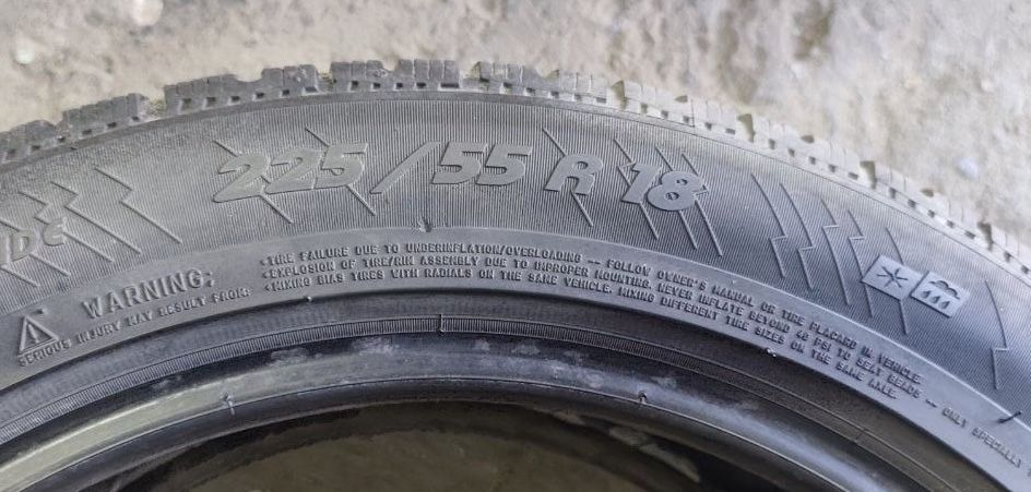 Шини Michelin Pilot Alpin 225/55 R18 пара
