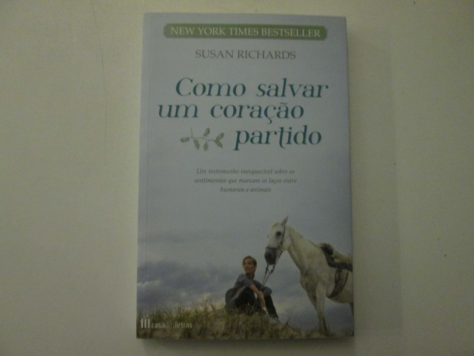 Como salvar um coração partido- Susan Richards