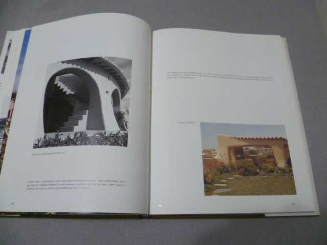 Almeida Araújo - Pintor, Escultor, Arquitecto (Intr. Frederico George)