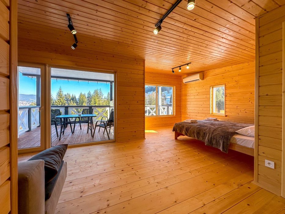 Здаються два новенькі будинки з усіма умовами, з чудовим краєвидом.