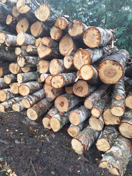 Drewno opałowe Brzoza wałki