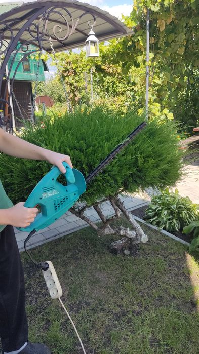 Кущоріз BOSCH AHS 45-16