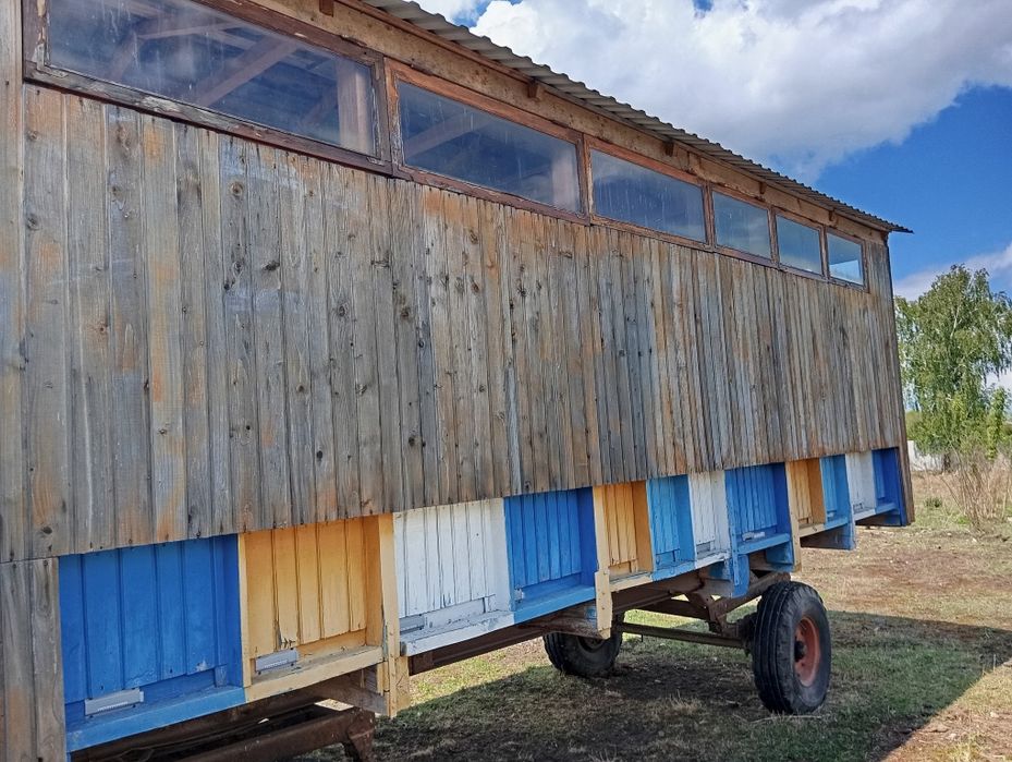Продам бджолиний павільон