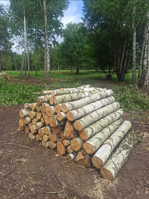 Brzoza sosna osika olcha drewno opałowe kominkowe tarczyn