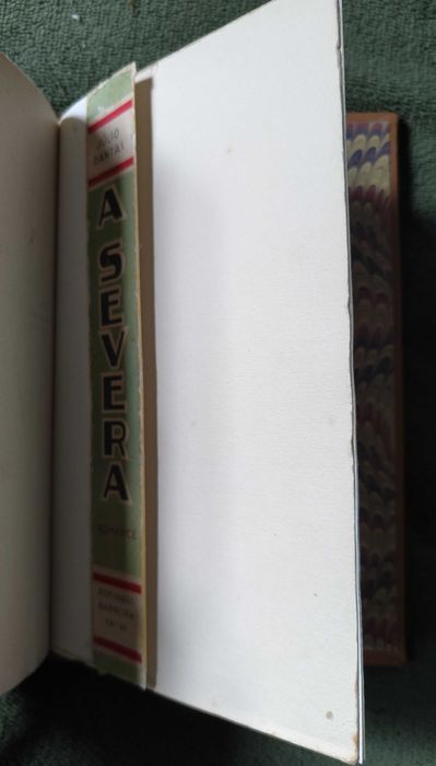 A Severa de julio dantas