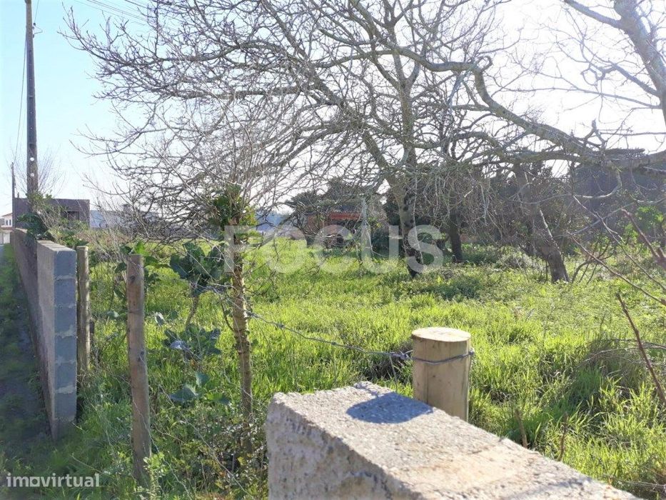 Terreno com 2 frentes - Aveiro / Aradas