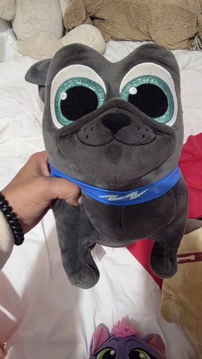 Bingo , rolley e gata