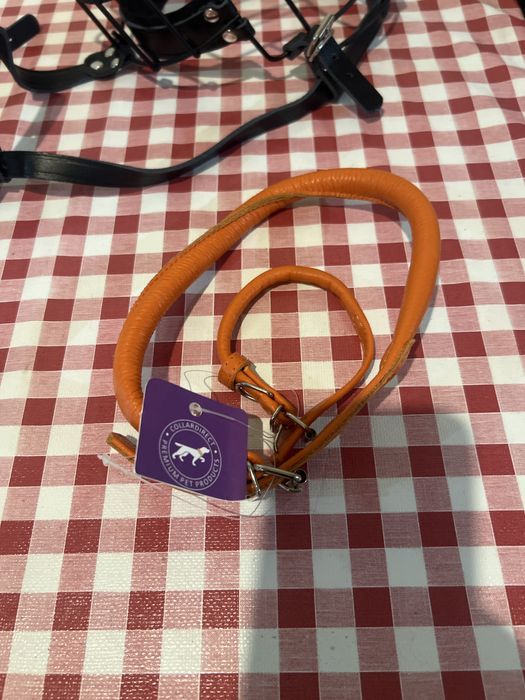 Açaime metálico XL BRONZEDOG + coleira treino (NOVOS)