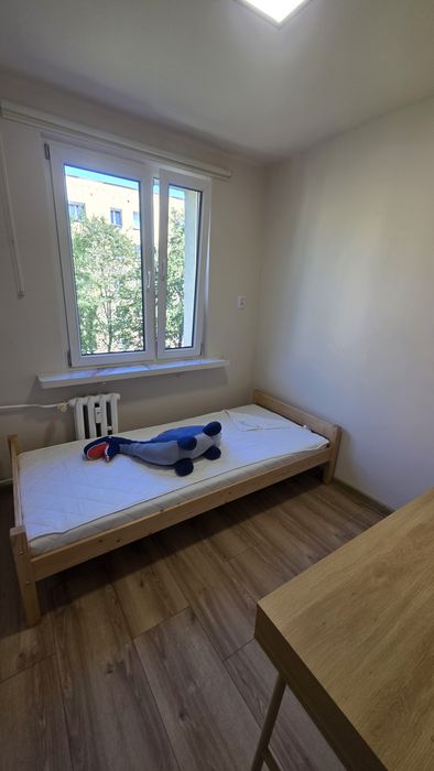 Zdjęcie 6
