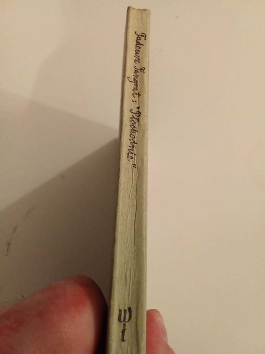 Płochodnie Tadeusz Fangrat