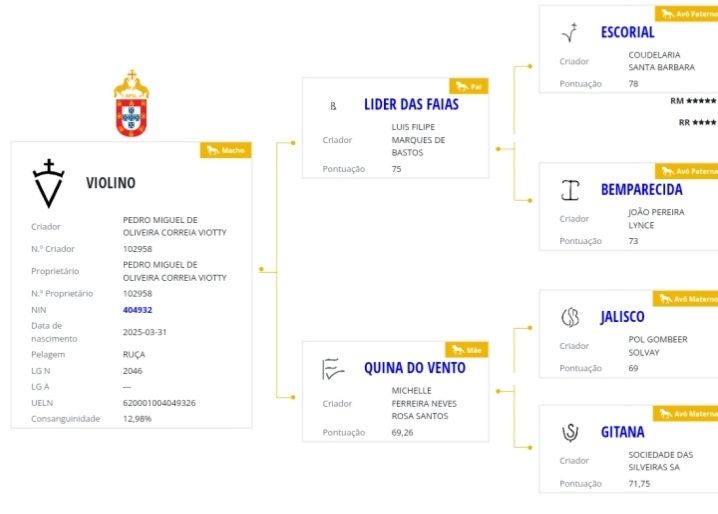 Poldro lusitano neto do Escorial e bisneto do Almansor