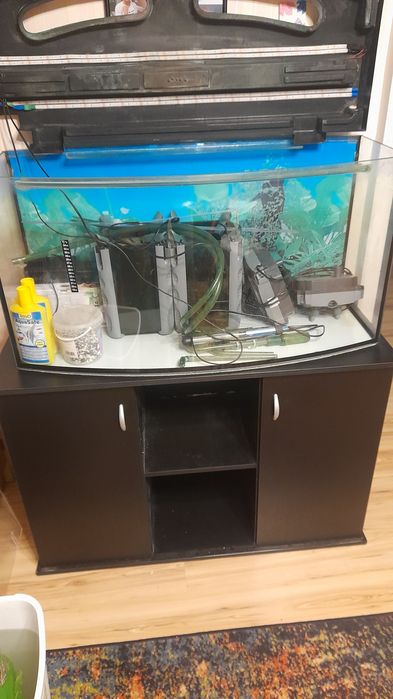 Panoramiczne akwarium o pojemności 200 litrów.