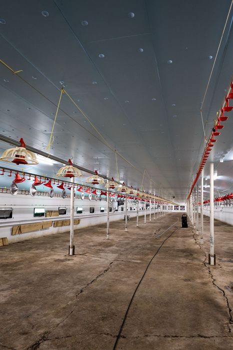 Ocieplenie Dachu Kurnika Obory Chlewni Podbitka Styrodur XPS AGRO
