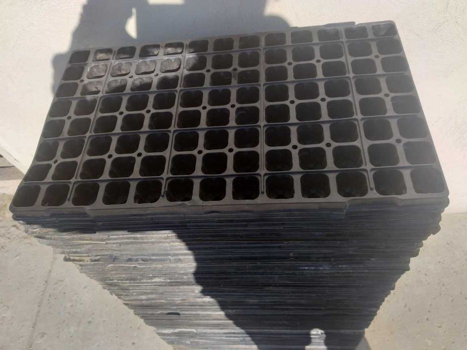 Multiplaty wielodoniczki 2zl/szt