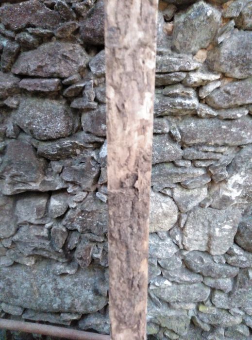 Pranchas Madeira Castanho