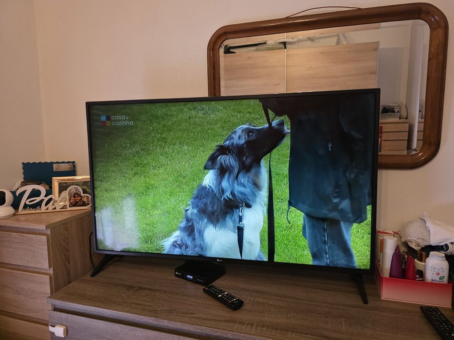 Smartv  LG  4K  48 polegadas (110cm)479313041022013444