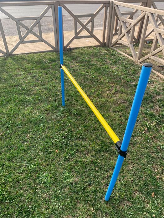 Obstáculos treino de animais cão