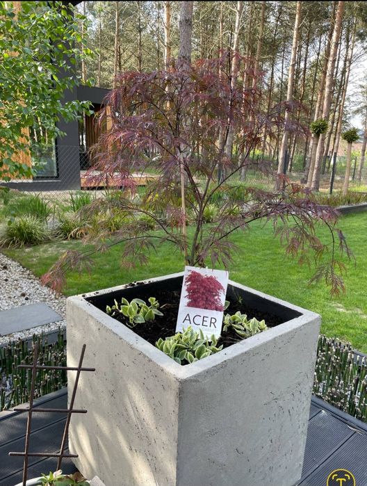 TermoDonice ogrodowe wykończenie BetonArchitektoniczny