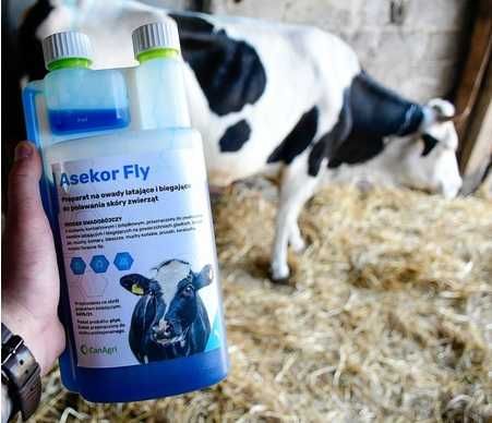 Płyn preparat owadobójczy ASEKOR FLY 1000ML NIEBIESKI