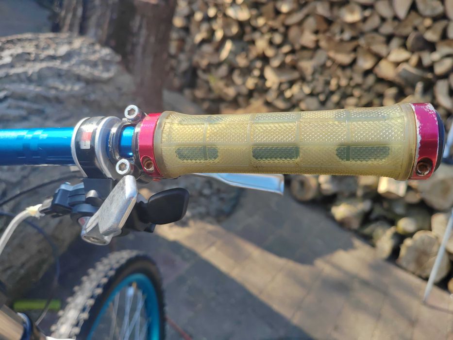 Bergamont Evolve Team DH