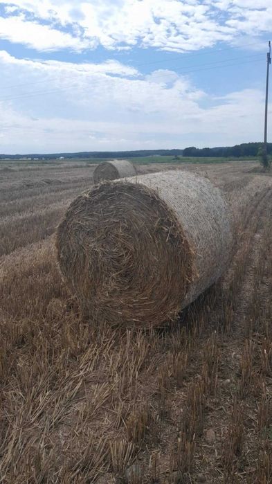 słoma sucha bele
