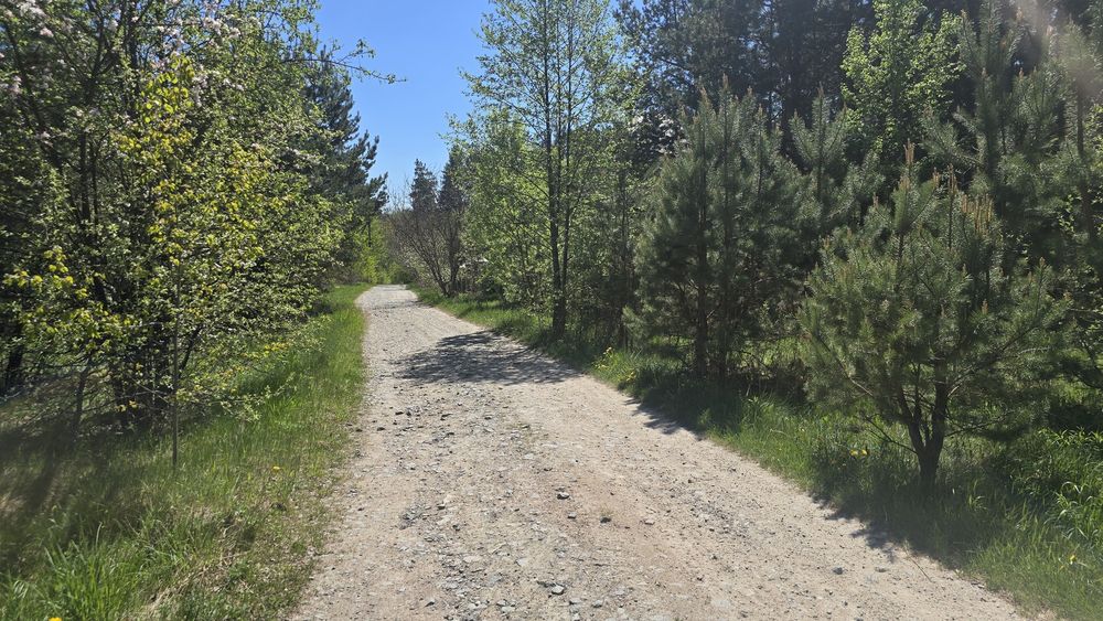 Дениші 17,5 сот. під забудову.(26161757)