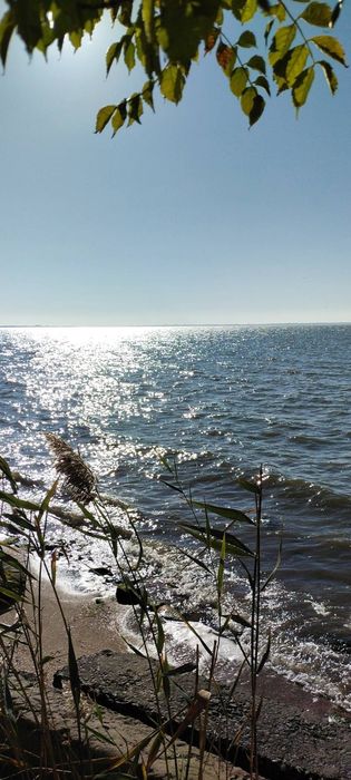 Продам дачу в с.Каролино-Бугаз, за 12500долл.США.