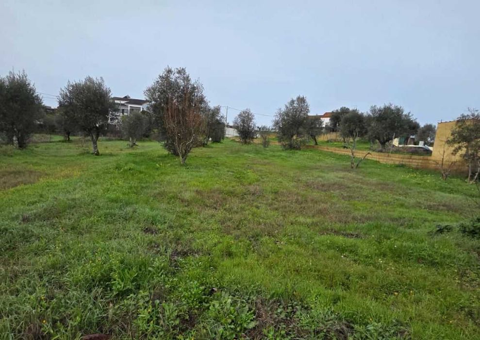 TERRENO URBANO COM 1.180 M² | MOURISCAS, ABRANTES