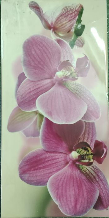 Ділові відходи плитки керамическая деловой бой , остатки:  ОТ 25 гриве