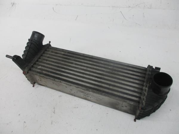 Radiador do intercooler RENAULT Clio III (BR0/1, CR0/1)