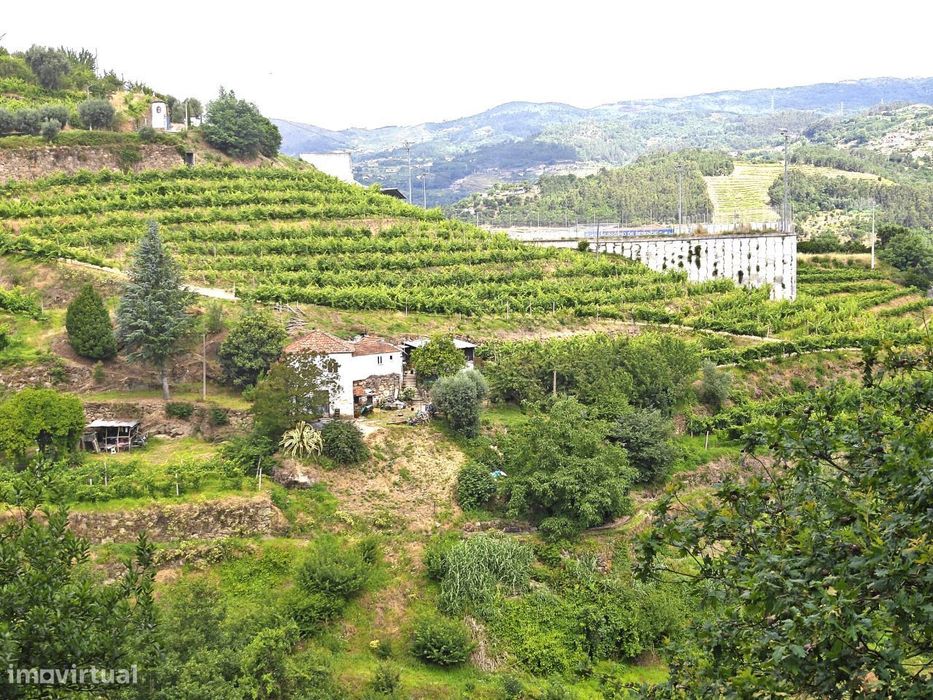Quinta à venda em Resende, Viseu