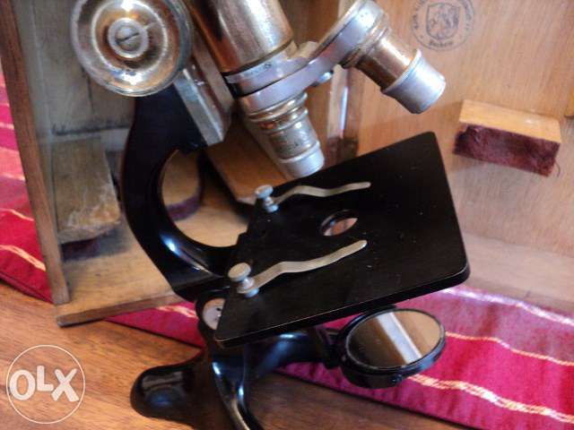 Microscopio 1906