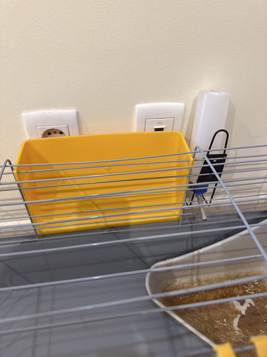 Gaiola coelho e outros roedores