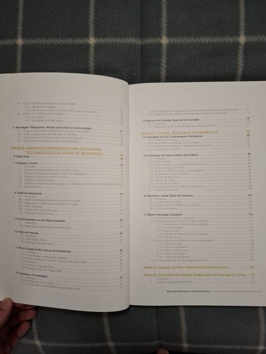 Diagnósticos Locais de Segurança
