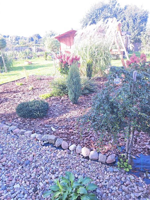 sprzedam działkę ROD