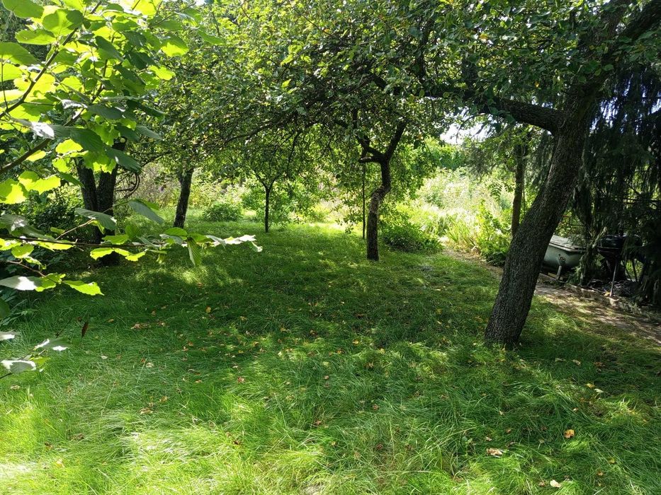 Ogródek działkowy