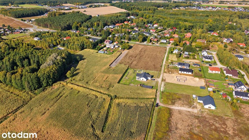 Działka Wilcze / Niwy gm. Osielsko, objęta MPZP - Widok 3