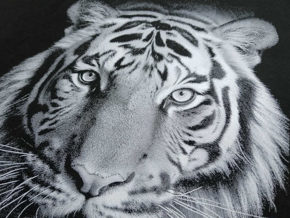 20 Koszulek z nadrukiem DTF