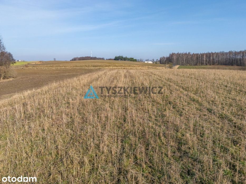 Działki z wydanymi WZ