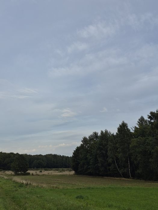 Sprzedam działki siedliskowe 3000 m²