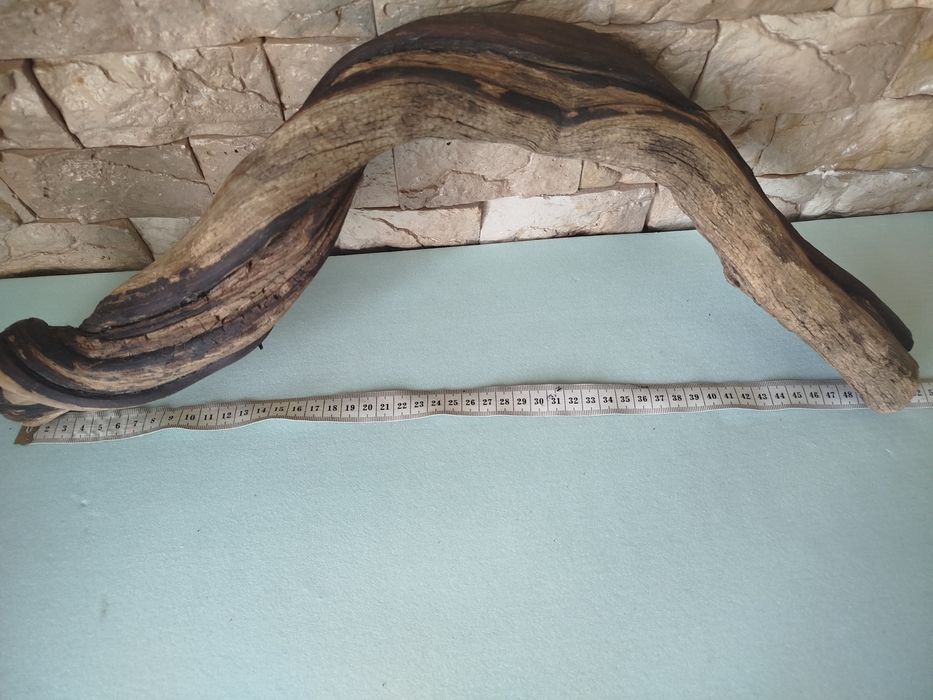 Коряги виноградні в акваріум,тераріум 50см.