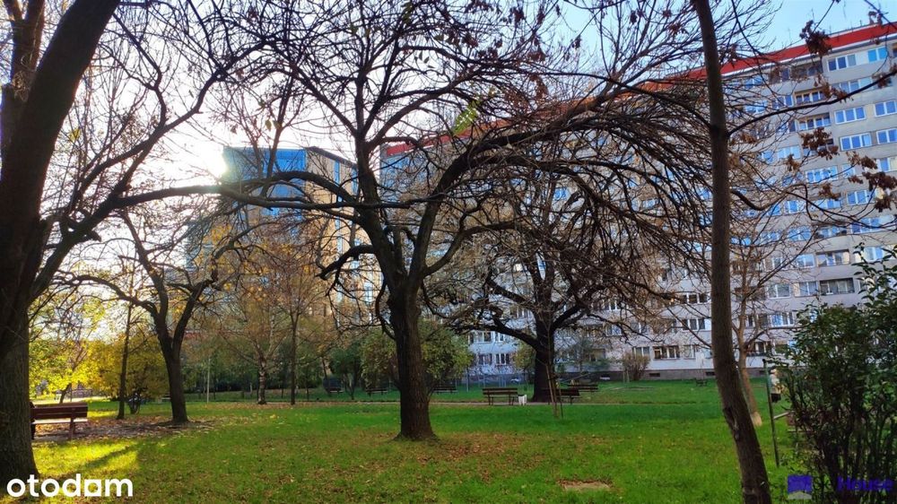 Kawalerka przy Sky Tower