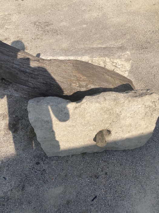 Vara de lagar antiga