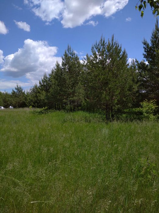 Продаж земельної ділянки, 10 сот., село Мостище. 30 км від Києва. – pohled 4