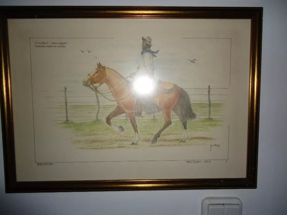 Quadros com Gravuras Assinado Jucca