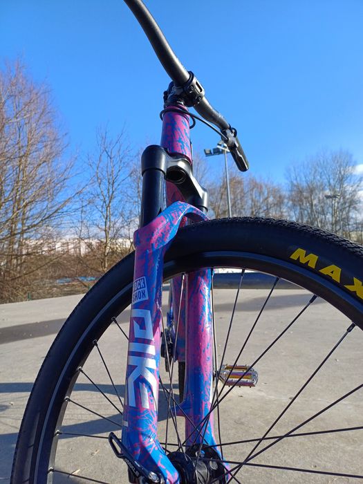 Rower Canyon 720 custom (pike,freecoaster)