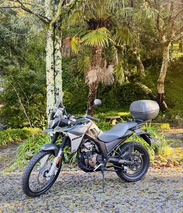 UM DSR Adventure TT