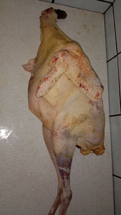 Продаються індики
