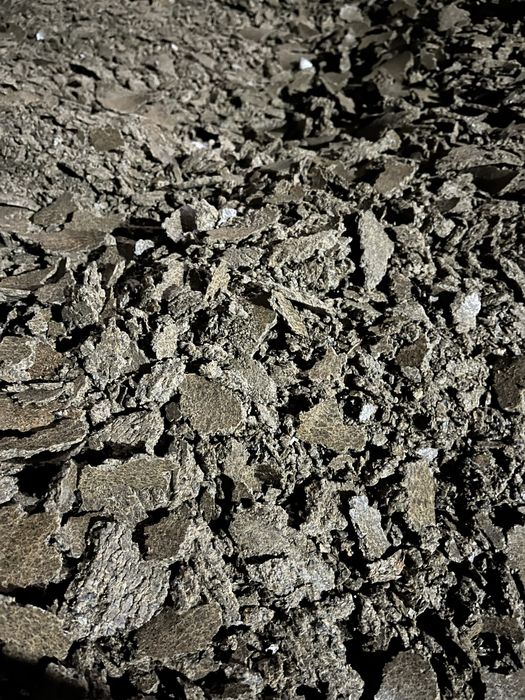 Макуха соняшникова